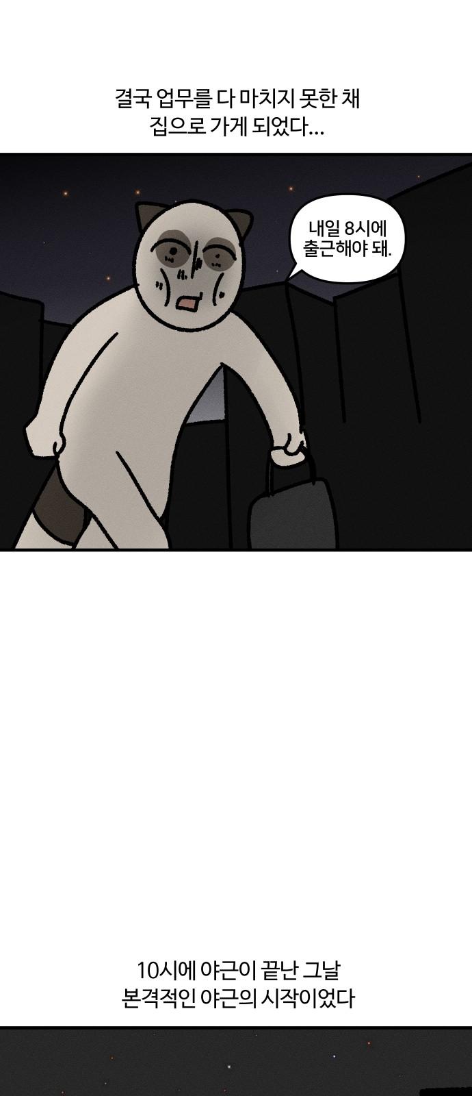 173248518349383r06t5bf3i.jpg
