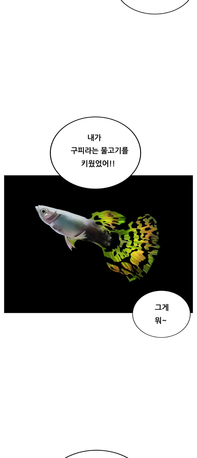 17309291266906jy96n417uv.jpg