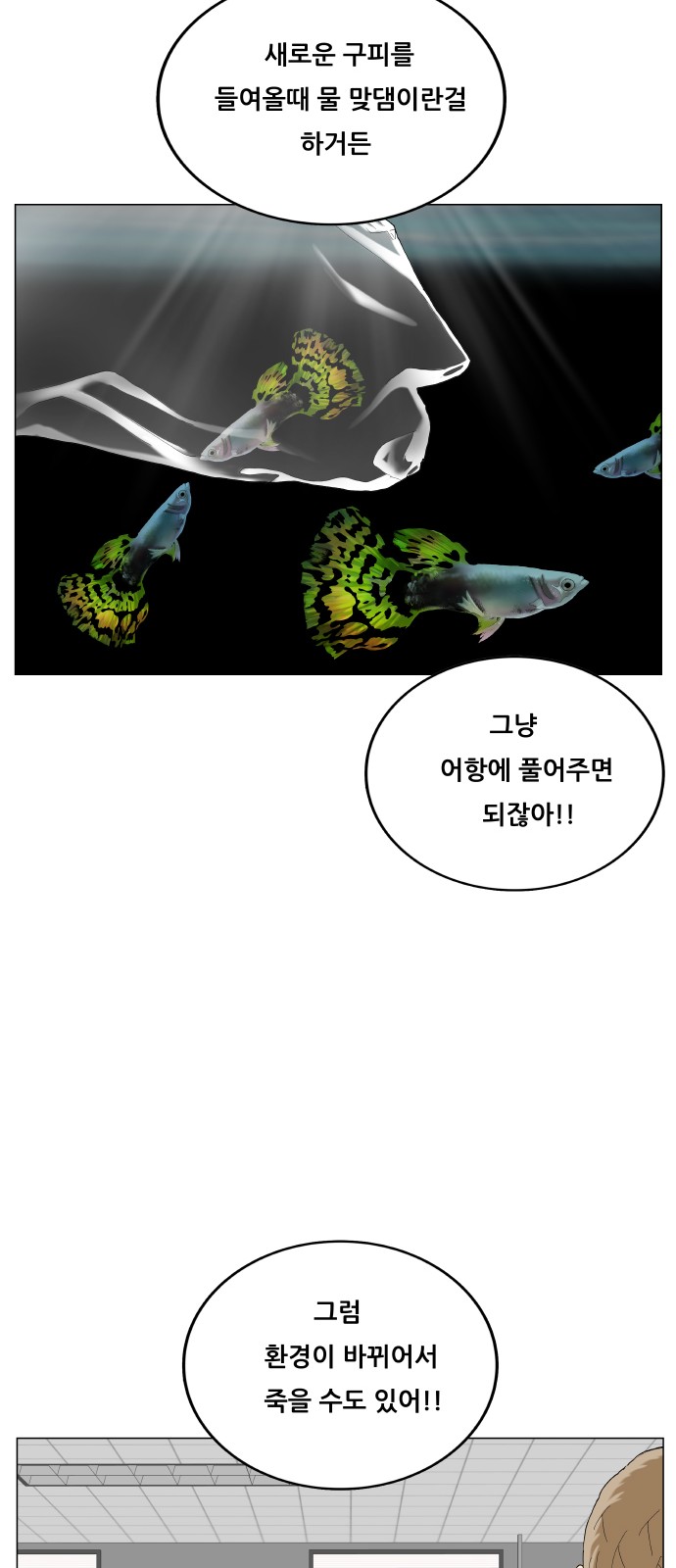 1730929126849vvl101sifd8.jpg