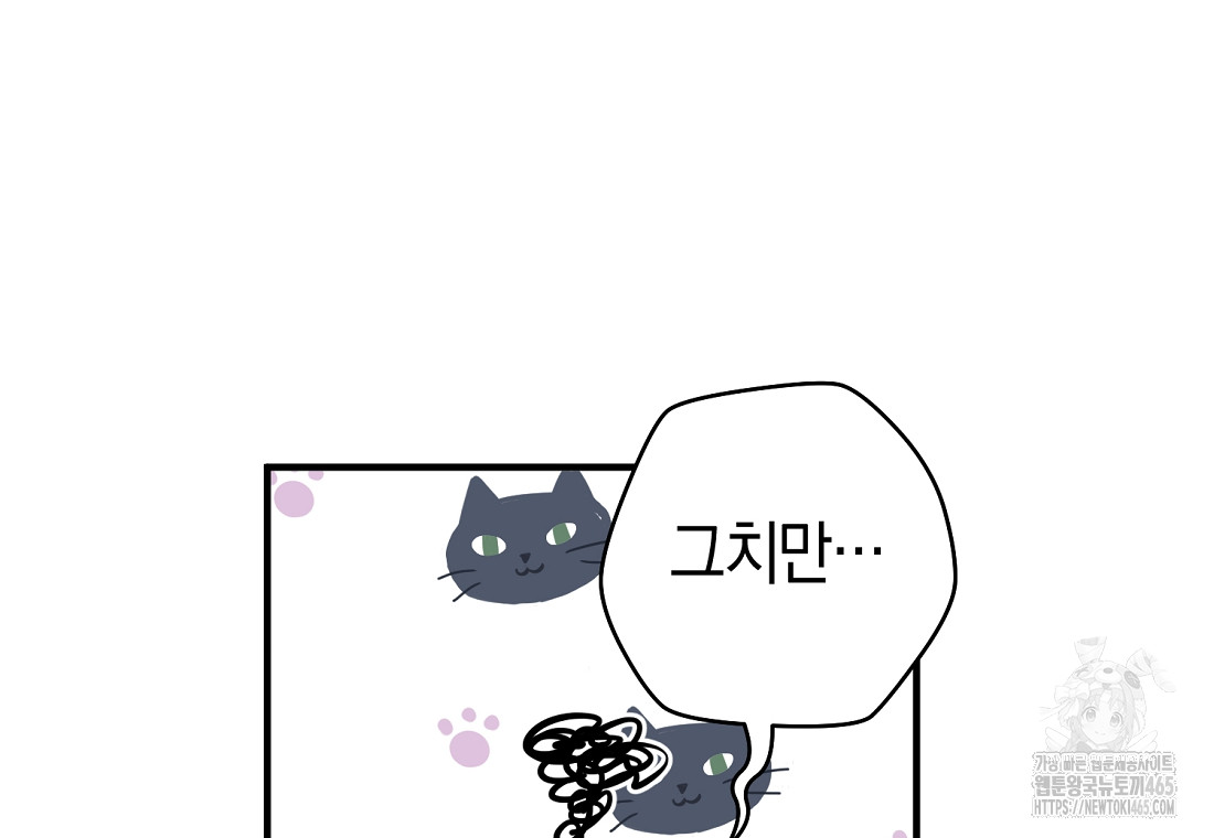 173103559116274xp0wq0vu3.jpg