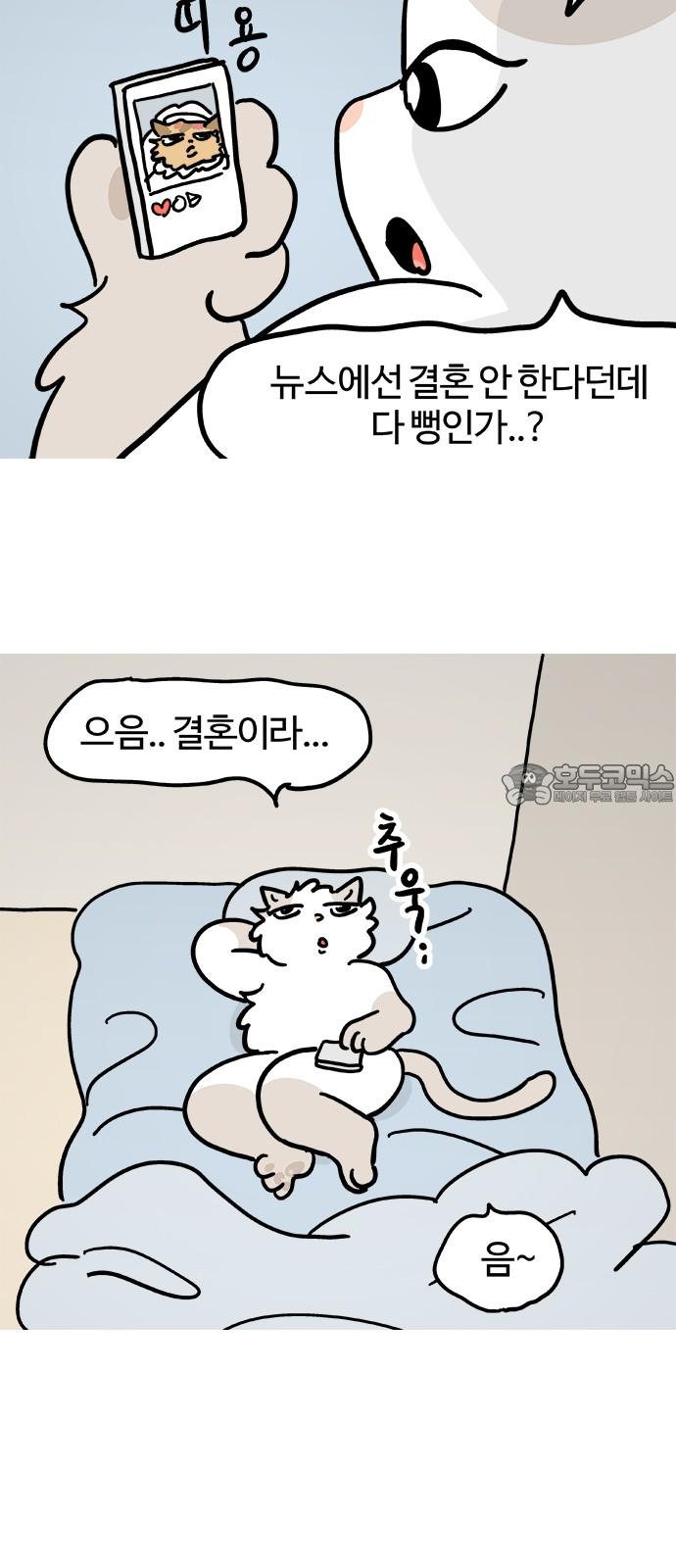 1734103170992o0rjjaio2yk.jpg