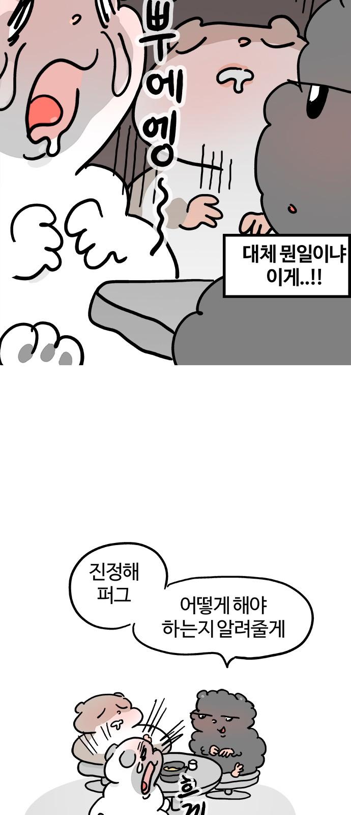 1734103171297ck9fxxjf33u.jpg