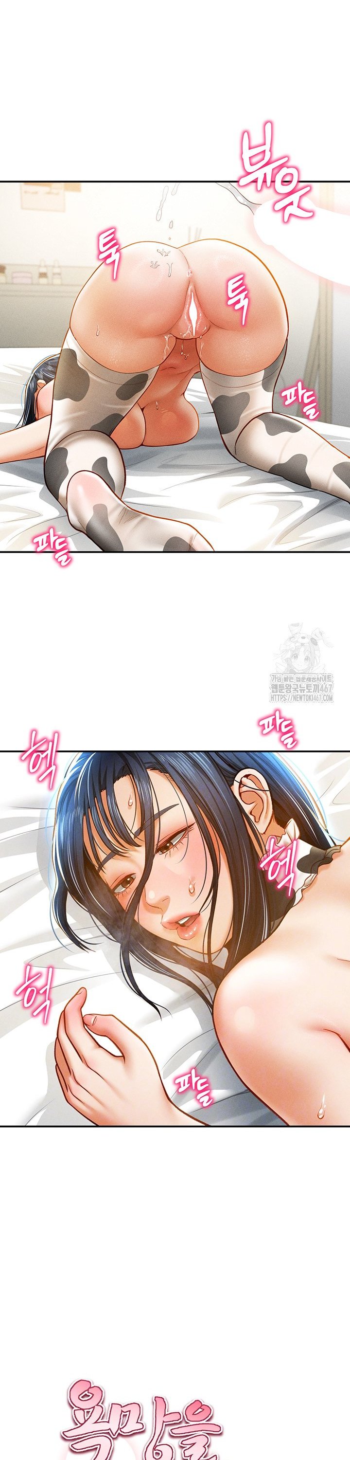 1737502187098m23oqpgbem.jpg
