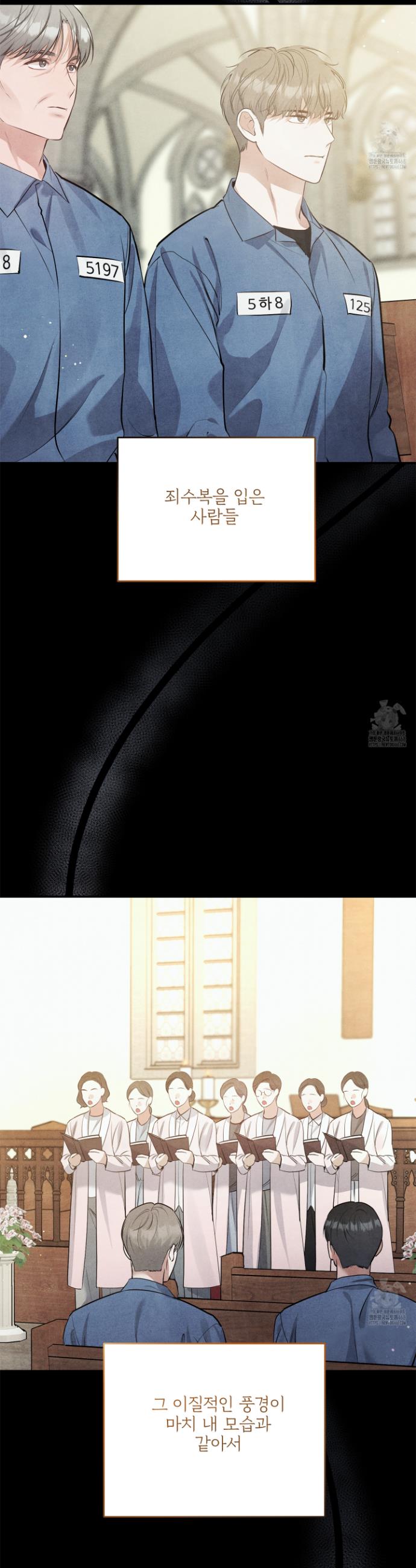 1740092786602p4xg7w2pqtc.jpg