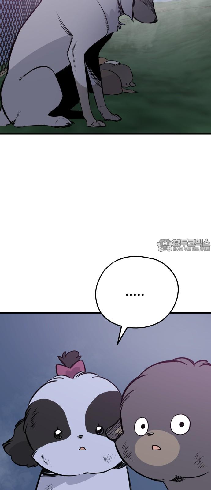 1741566192604a2skx2xacsn.jpg