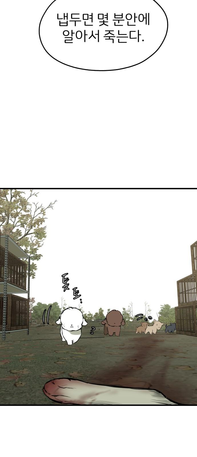 174156620161993i25omvite.jpg