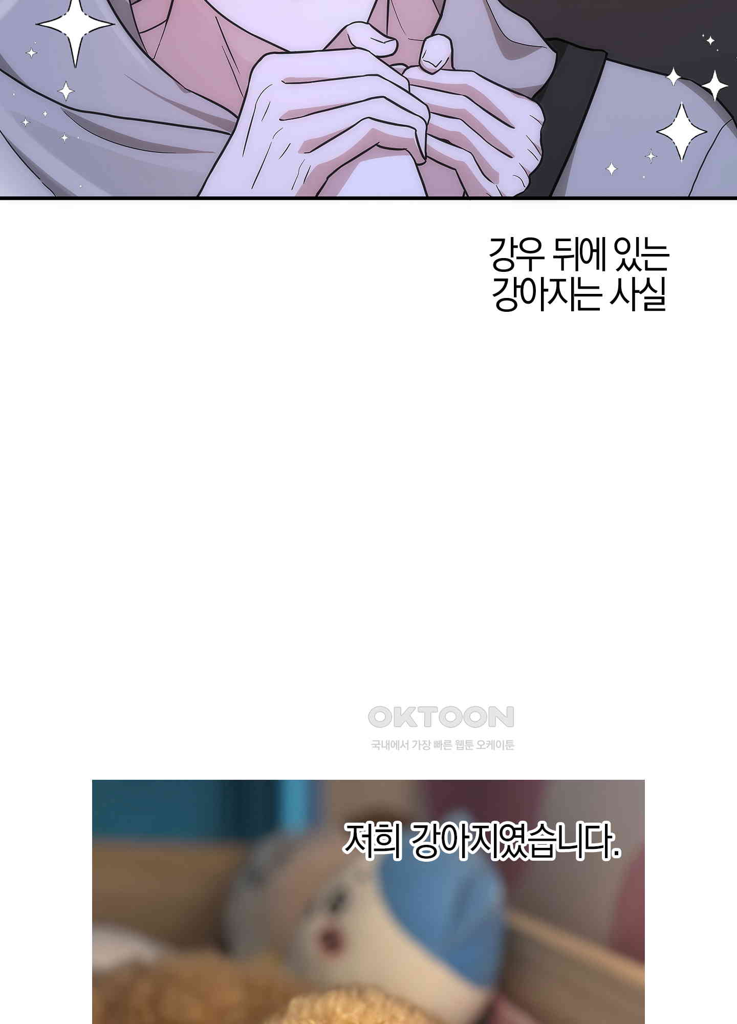 1741567854562ogkv1tvmd2.jpg