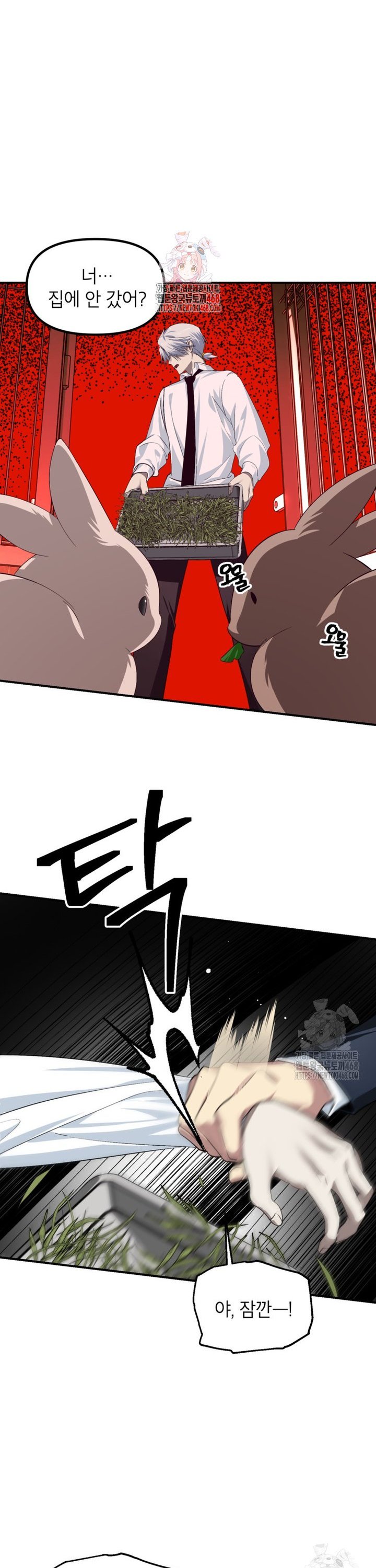 17419007356687nf6d3b65uy.jpg