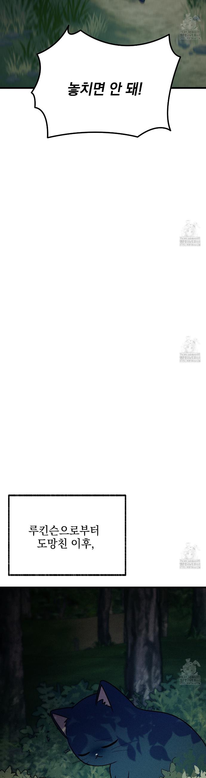 174208564260985nrrjacghf.jpg