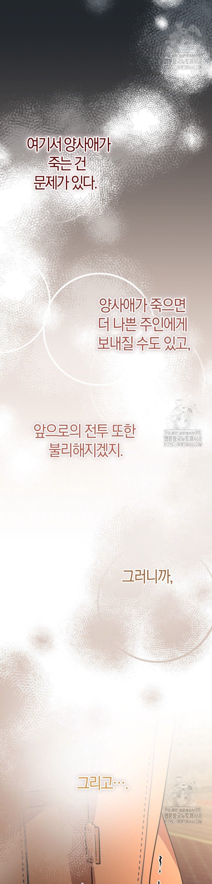 1741047140196paw5yhzh7ub.jpg