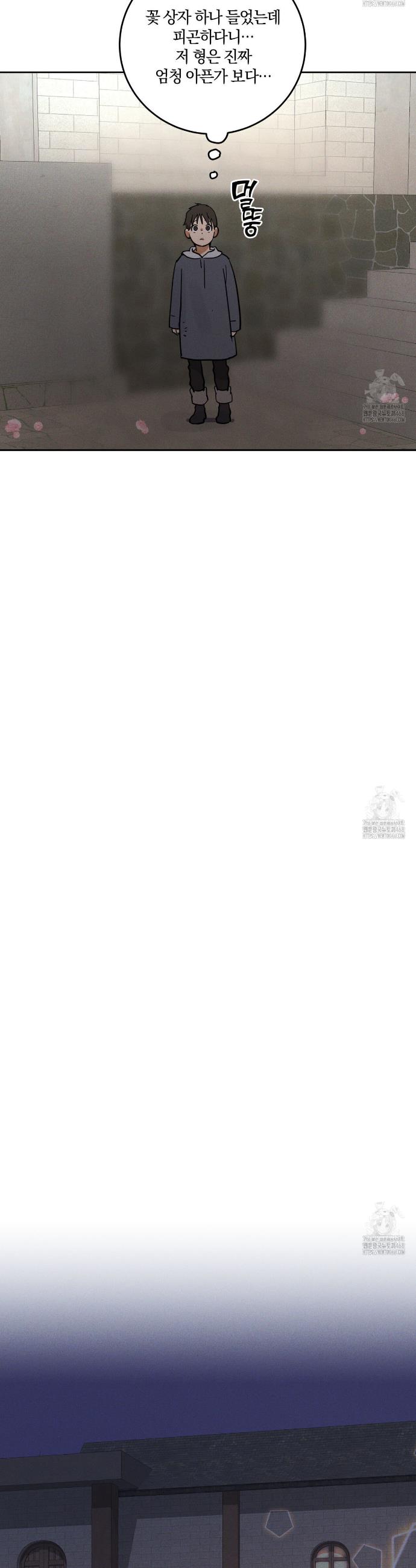 1741386054940szcea3x87.jpg
