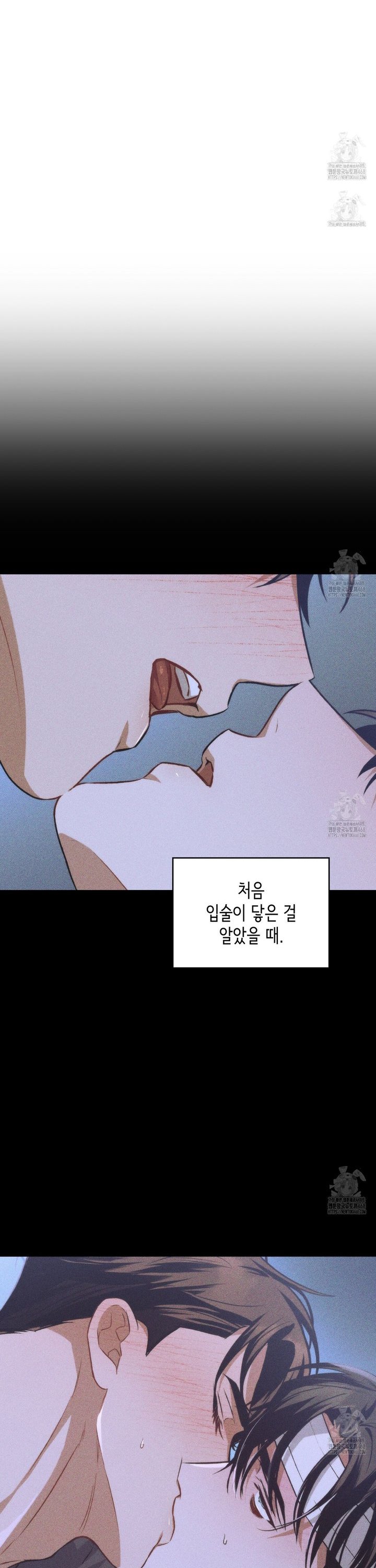 17447624520040phk3xmlm7w.jpg