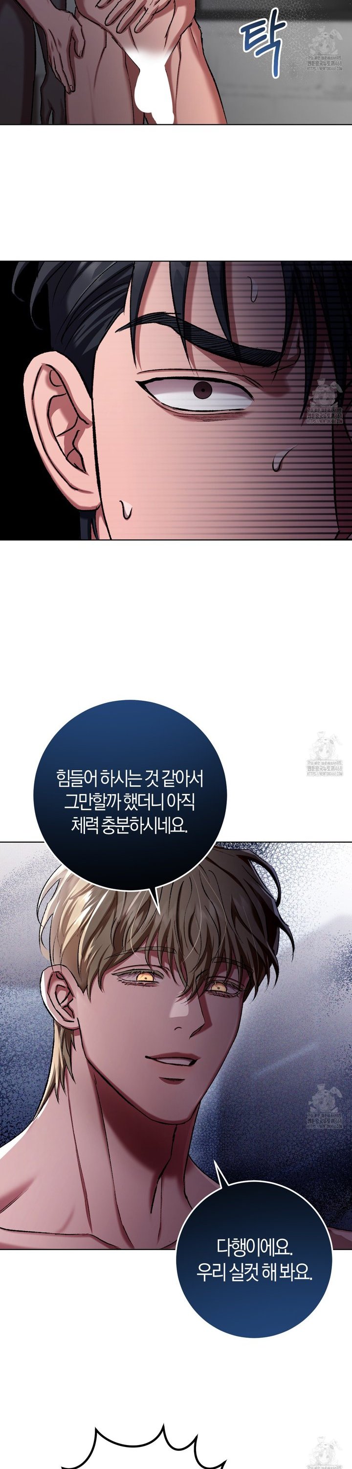 1745364383940poh08jl27a.jpg