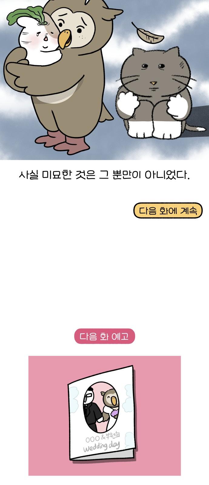 1744153036214j65au9jv2o.jpg